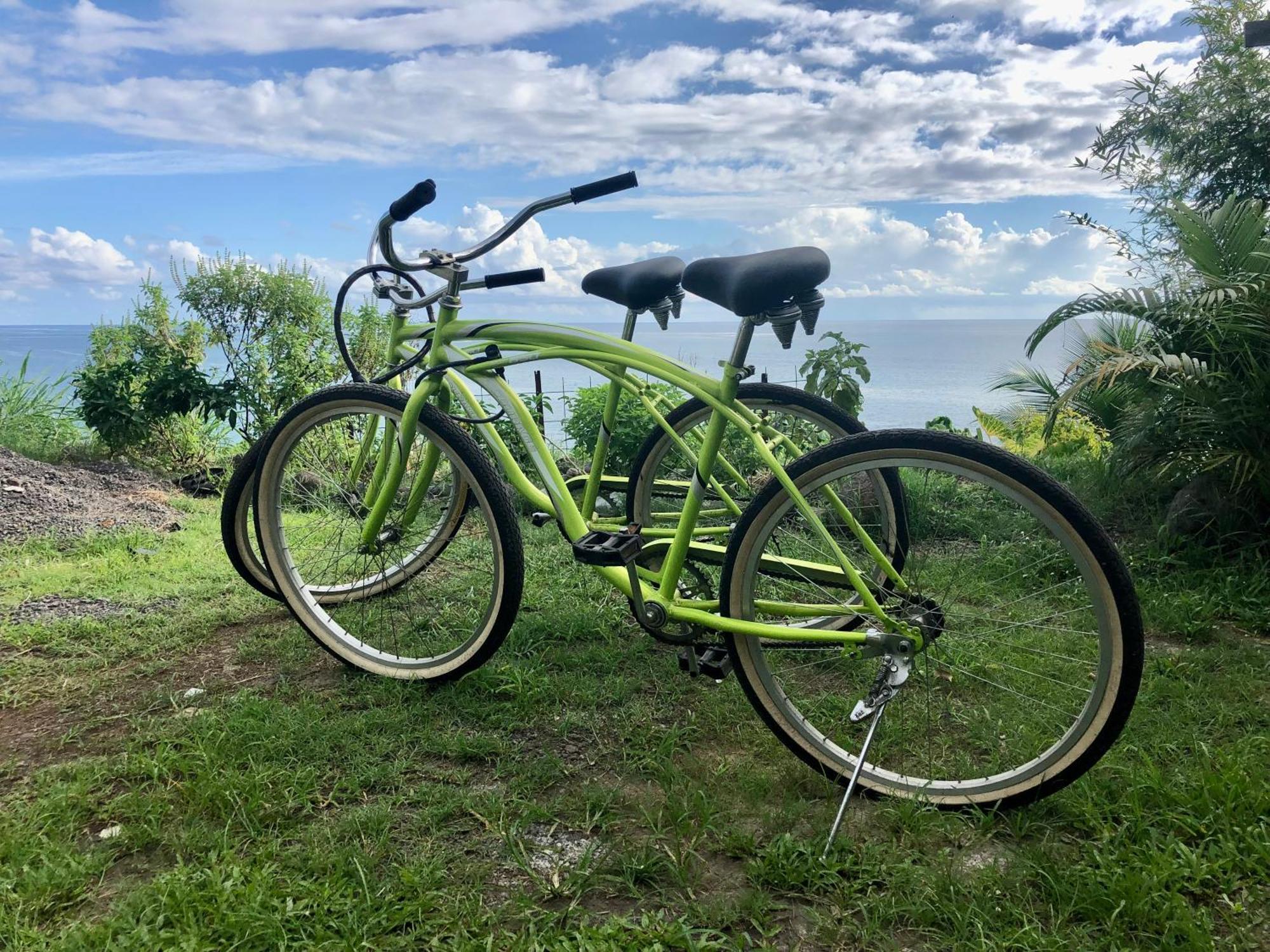 Maui Homestay Vue Ocean Exceptionnelle & Baleines En Saison Tohautu Exteriör bild