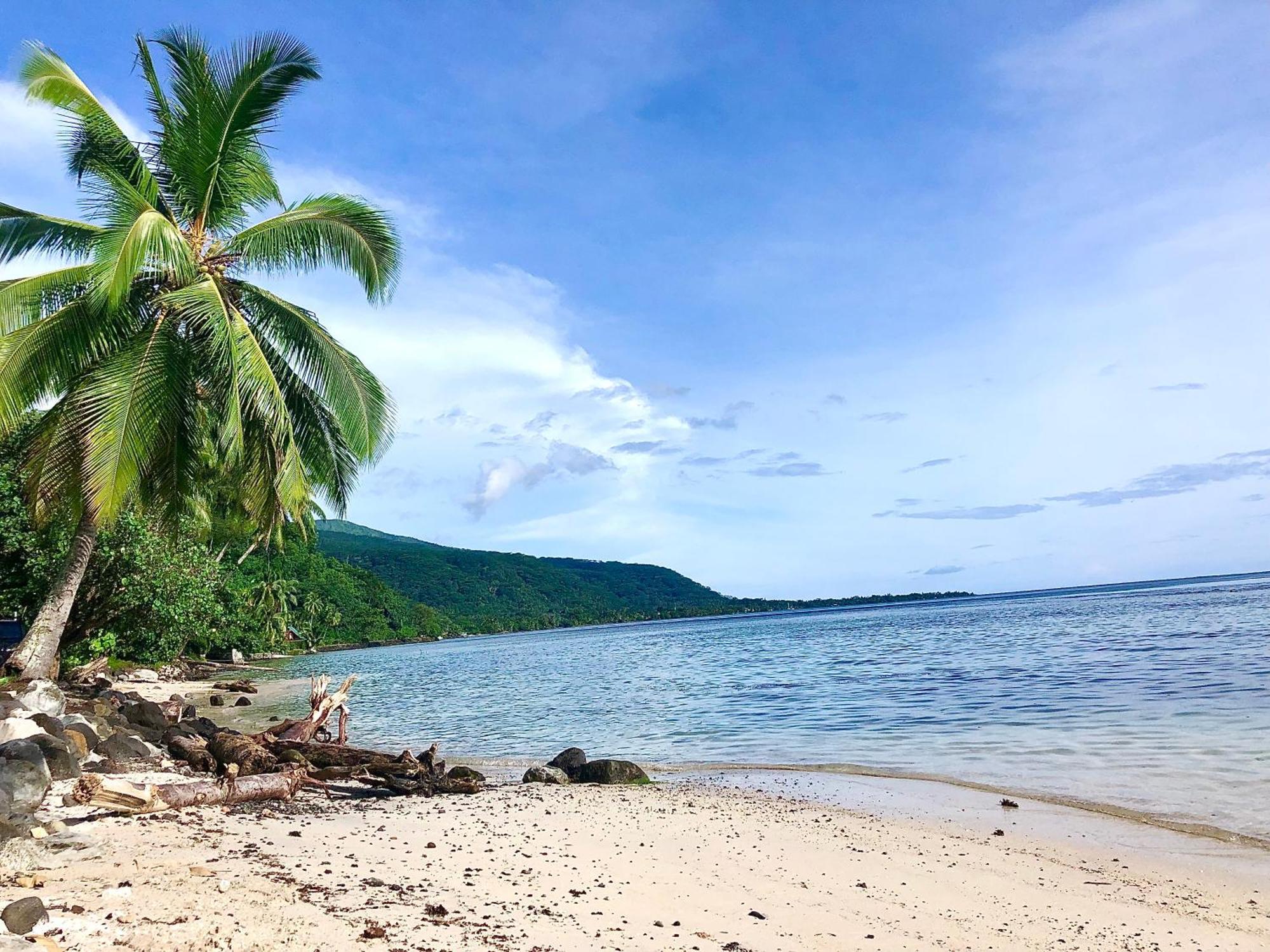 Maui Homestay Vue Ocean Exceptionnelle & Baleines En Saison Tohautu Exteriör bild