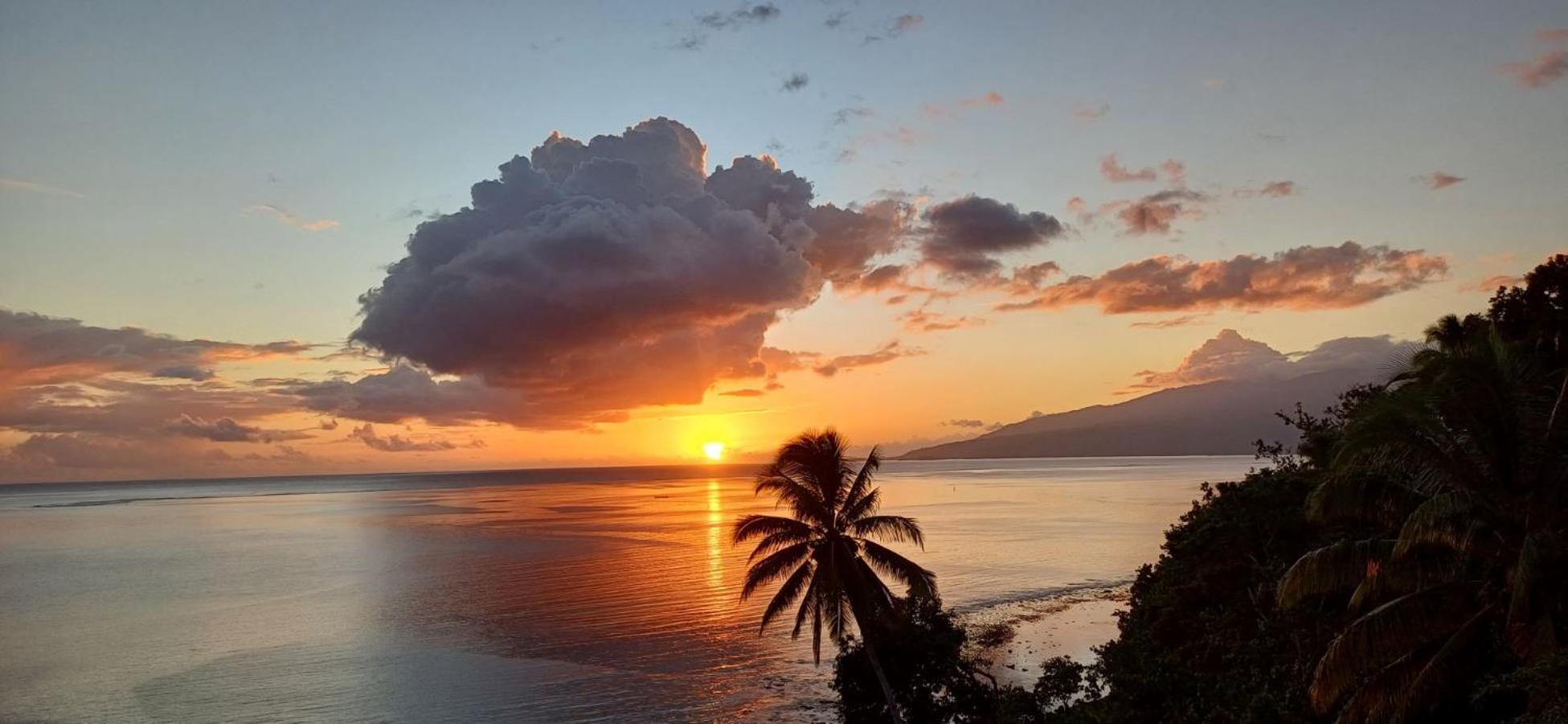 Maui Homestay Vue Ocean Exceptionnelle & Baleines En Saison Tohautu Exteriör bild